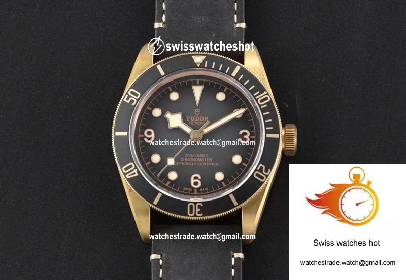 Tudor Black Bay Bronze M79250BA-0001 XF Factory Gray Dial 1