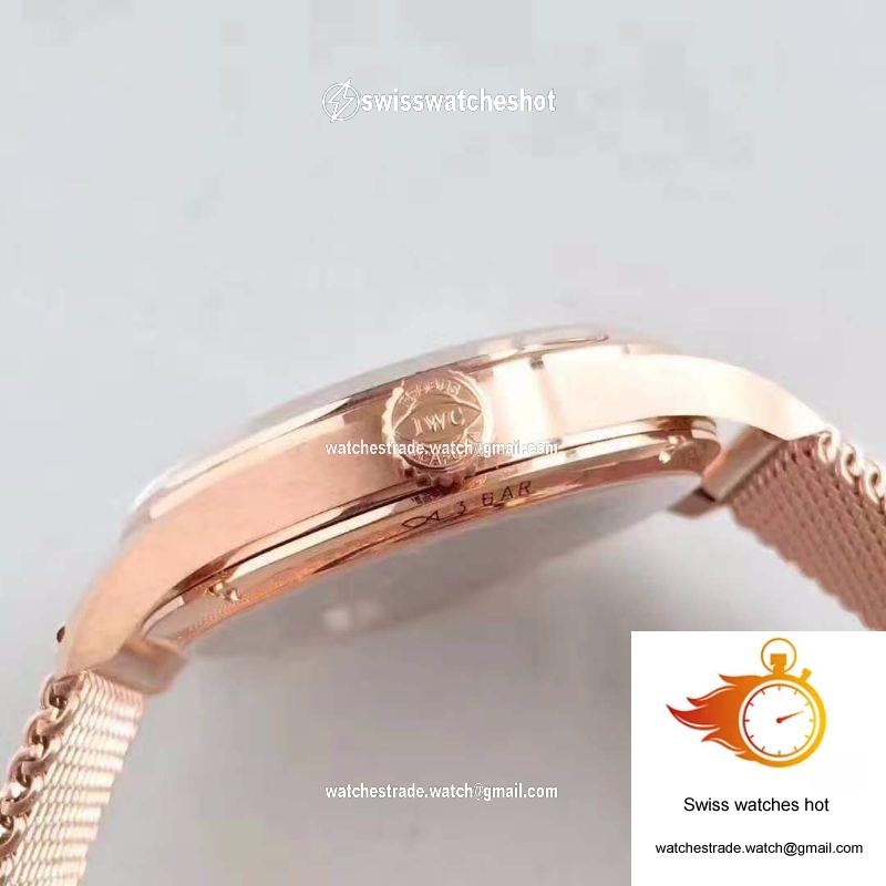 IWC Portugieser Regulateur IW544402 YL Factory White Dial 5
