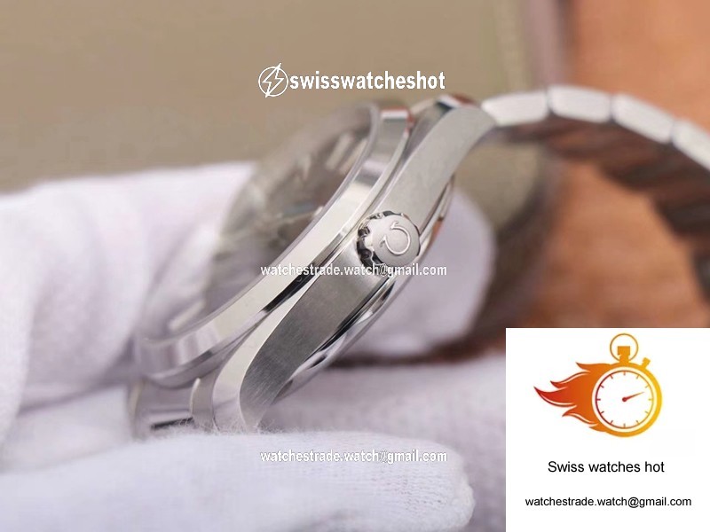 Omega Seamaster 220.10.41.21.03.001 VS Factory Blue Dial 5