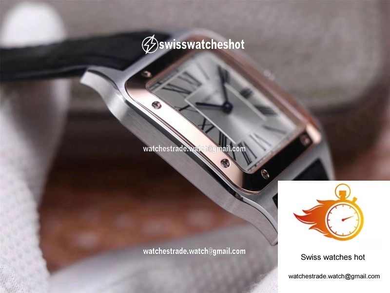 Cartier Santos Dumont W2SA0017 F1 Factory Silver Dial 6