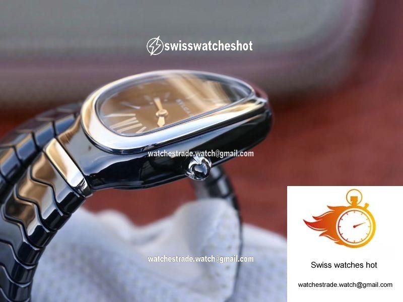 Bvlgari Serpenti Spiga Watch 102735 Steel BV Factory 6