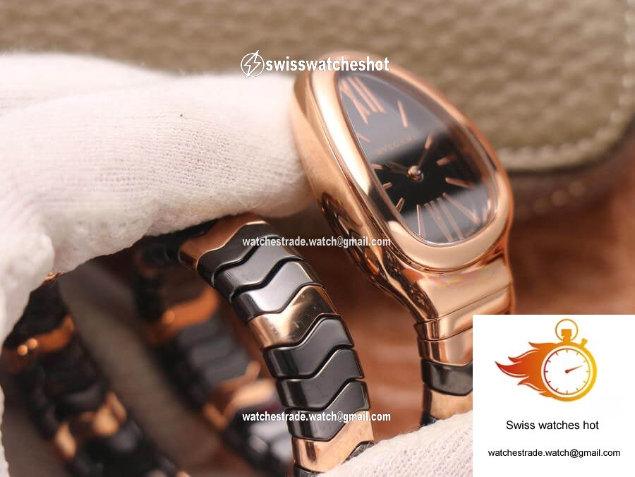 Bvlgari Serpenti BV Factory Rose Gold Case 6