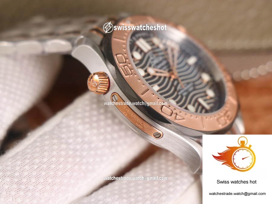 Omega Seamaster Diver 300M 210.60.42.20.99.001 OM Factory Grey Dial 6
