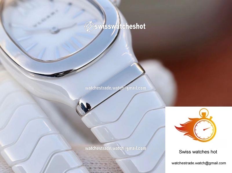 Bvlgari Serpenti Spiga Watch 102613 BV Factory Steel No Diamond 7