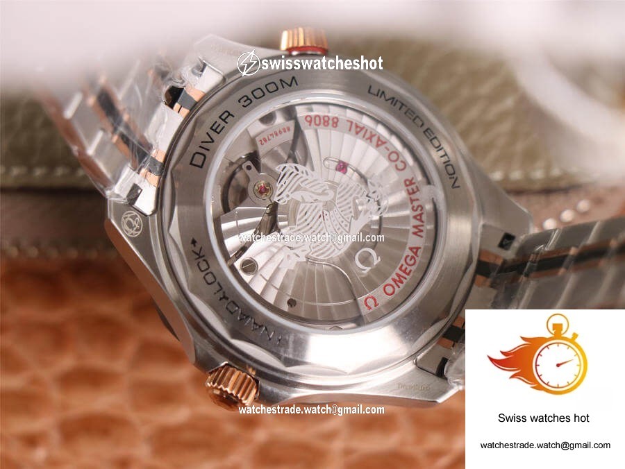 Omega Seamaster Diver 300M 210.60.42.20.99.001 OM Factory Grey Dial 7