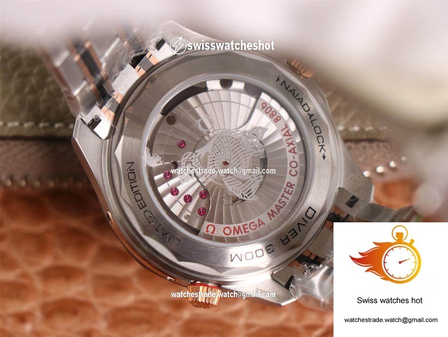 Omega Seamaster Diver 300M 210.60.42.20.99.001 OM Factory Grey Dial 8