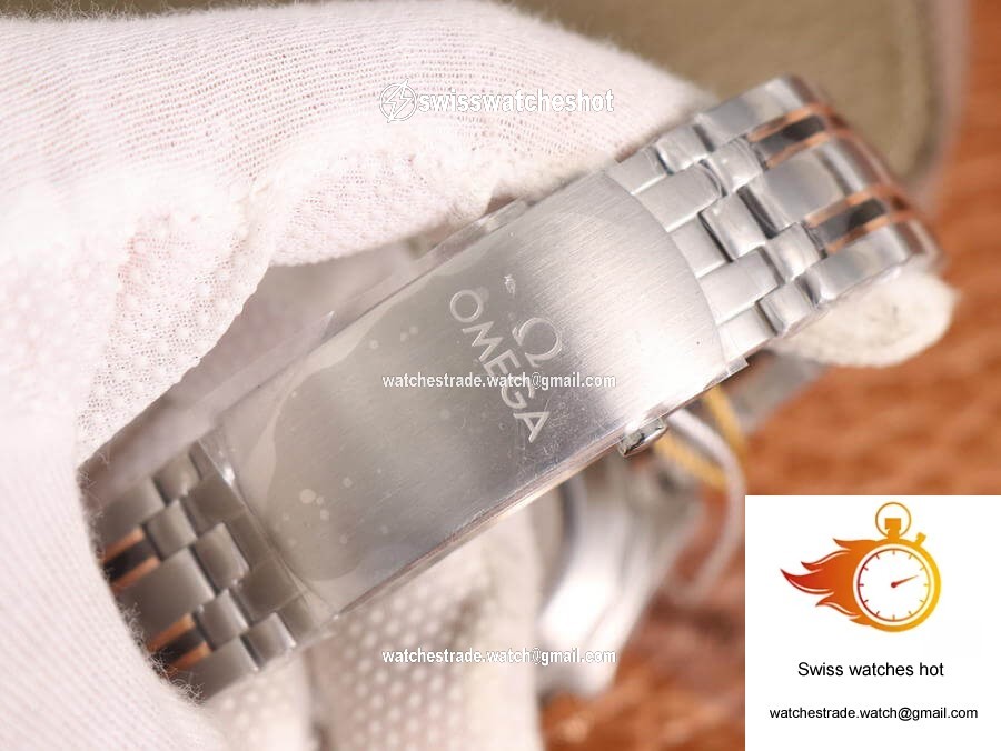 Omega Seamaster Diver 300M 210.60.42.20.99.001 OM Factory Grey Dial 9